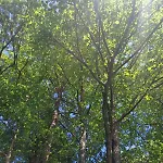 Unska Bajka * Bihać