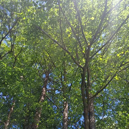 Unska Bajka * Bihać